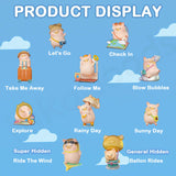 Lulu the Piggy's Travel Series Blind Box