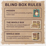 NOOK Little World Series Blind Box