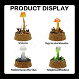 Mushroom World Miniature Scene Night Light Series Blind Box