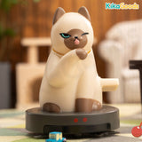 QueSera Series iRobocat Clockwork Movable Blind Box