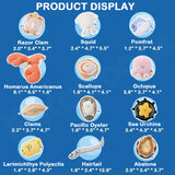 Animal Heavenly Body Seafood Series Plush Pendant