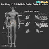 Bei Ming Action Figure BJD Male Body