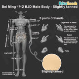 Bei Ming Action Figure BJD Male Body