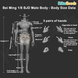 Bei Ming Action Figure BJD Male Body