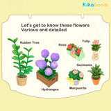 Rolife Super Creator DIY Miniature House - Blooming Tea Garden