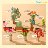 Rolife Book Nook & Wonderland - Floral Corner