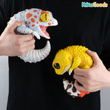 Gecko Reptiles Story Plus Figures