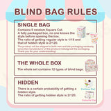 Square Cat Series Blind Bag