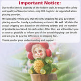 Cino's Garden Fairies Series Plush Blind Box