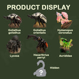 Animal Heavenly Body A Series of Laugh and Grow Fat No.11 - Insect 2.0 Figure