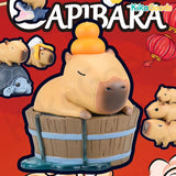 Animal Heavenly Body Capybara Series Blind Box