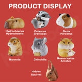 Animal Nebula Pocket Cute Zoo Series Blind Box