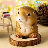 Animal Nebula Pocket Cute Zoo Series Blind Box