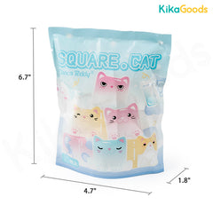 Square Cat Ice Cube Series Blind Bag