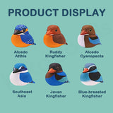 KITAN CLUB Fat Fortunate Alcedo Bird Gacha