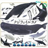 KITAN CLUB Kimon Nature Techni Animal Whale Chapter Gacha