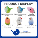 Animal Heavenly Body A Series Of Laugh And Grow Fat Series Parrot Chapter Blind Box