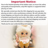 Liila's Chef Kitten Series Plush Blind Box