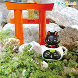 Teapot Fox Daruma 1 + 2 Series Blind Box