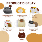 Lucky Can Cats Series Blind Box