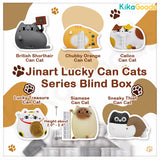 Lucky Can Cats Series Blind Box