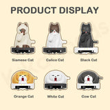 QueSera Series iRobocat Clockwork Movable Blind Box