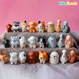 Large Cute Bean Dog Series Blind Bag