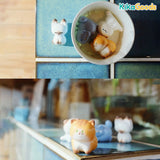 Large Cute Bean Cat Series Blind Bag