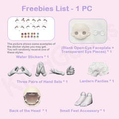 Light and Shadow Lightwing Academy Series 1/8 Action Figure BJD Blind Box【Shipped in May./Jun. 2026】