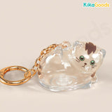 Cat You Pet Hair Collector Series Pendant Blind Box