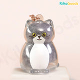 Cat You Pet Hair Collector Series Pendant Blind Box