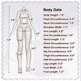 The Dark Side of the Heart Series 1/6 Action Figure BJD Blind Box【Shipped in Apr./May. 2026】