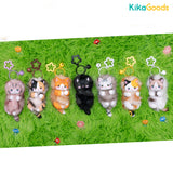 Golden Fruit Hug Cat Series Blind Box