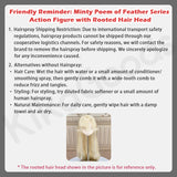 Minty Poem of Feathers Series Special 1/6 Action Figure BJD Blind Box