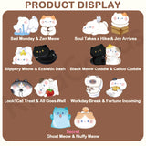 Kitten Everywhere Series Mini Bean Blind Box