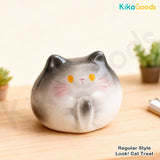 Kitten Everywhere Series Mini Bean Blind Box