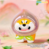 A Chai Goji Sweet & Tart Fruit Series Mini Bean Blind Bag