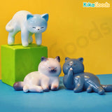 Mini Cute Bean Cat Series 2 Blind Bag【Shipped in Sept. /Oct. 2026】