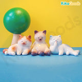 Mini Cute Bean Cat Series 2 Blind Bag【Shipped in Sept. /Oct. 2026】