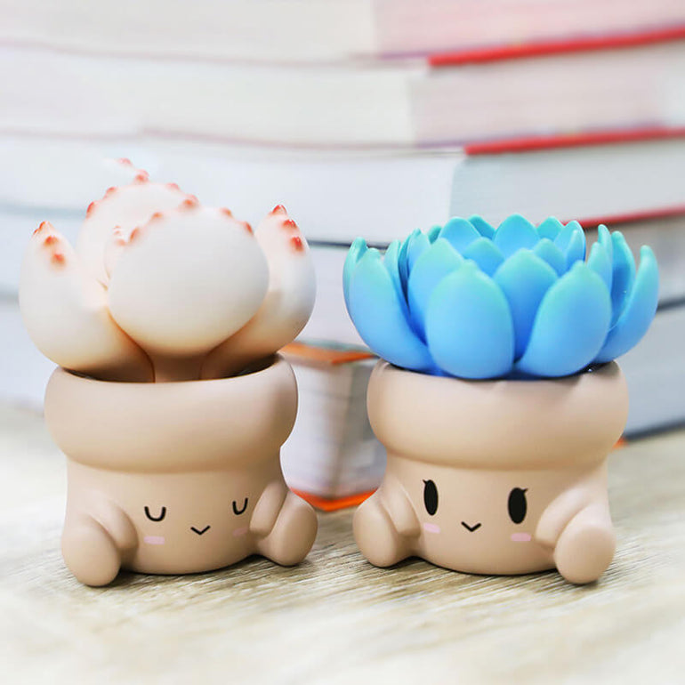 Penpot Hugging Succulents Series 1 Blind Box - KIKAGoods