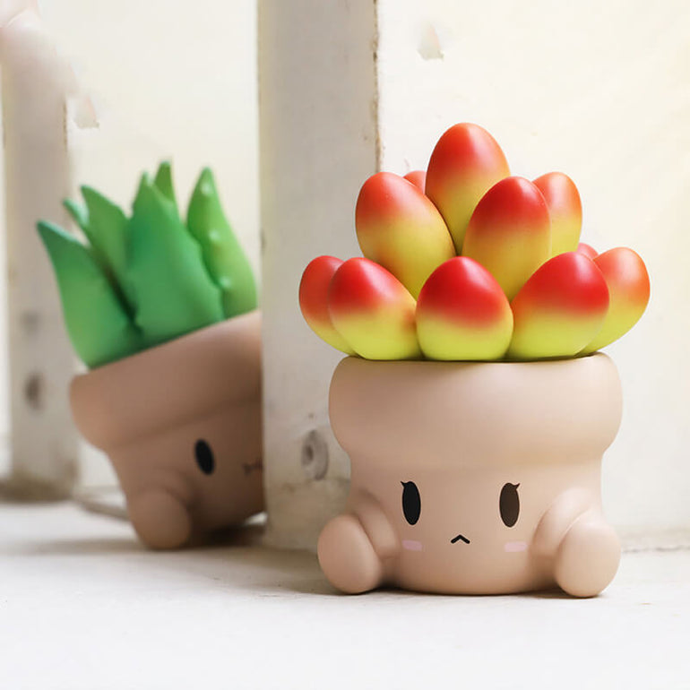 Penpot Hugging Succulents Series 1 Blind Box - KIKAGoods