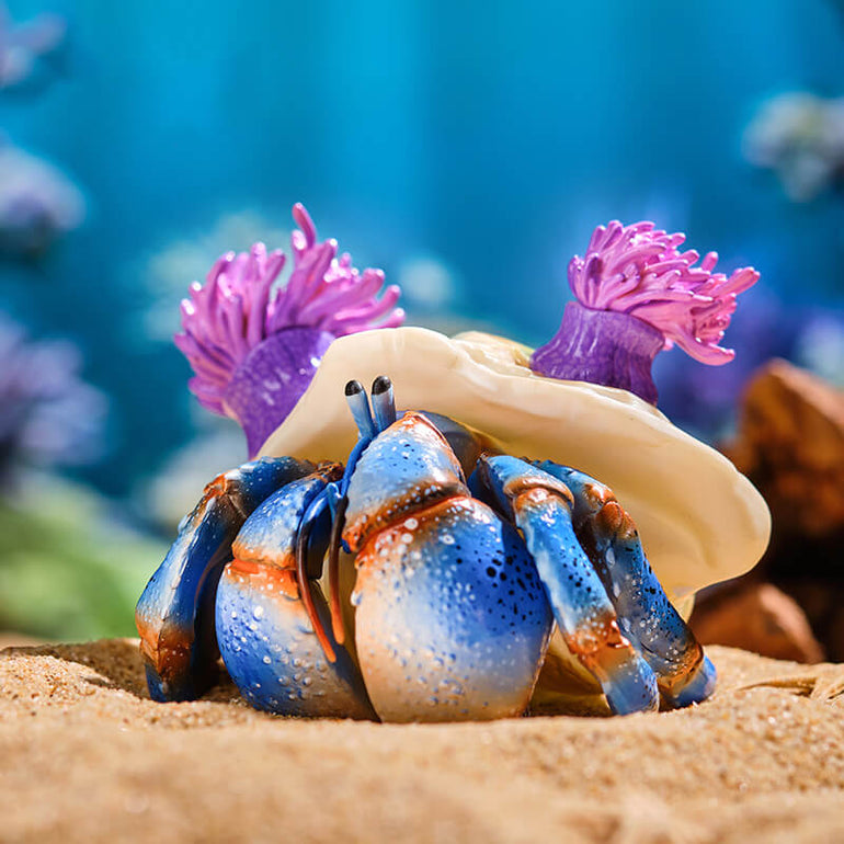 Hermit Crab In Summer Blind Box - KIKAGoods