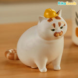 LouLou Piggy Cat Series 2 Blind Box