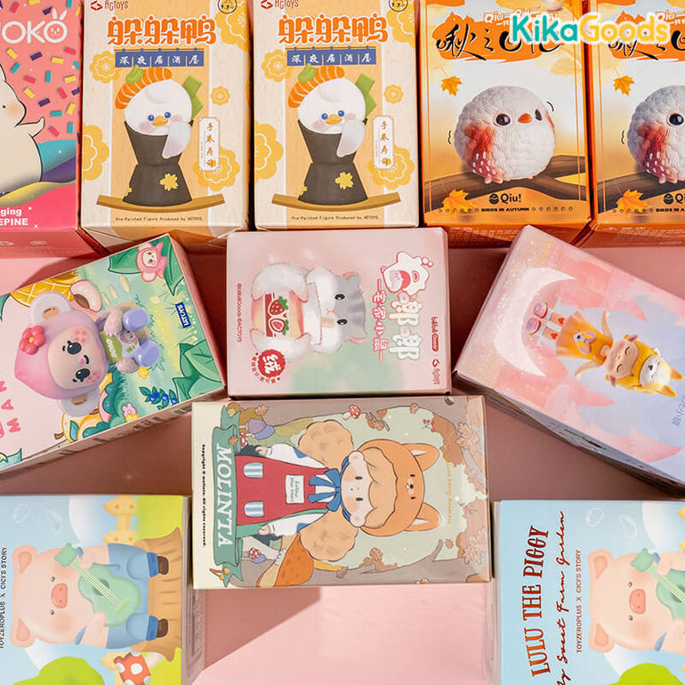 Special Blind Box Lucky Bag 【 $50 For – KIKAGoods